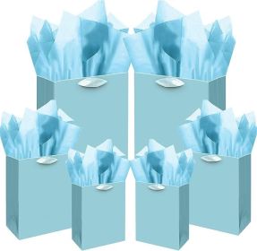 qiqee Lake Blue Gift Bags with Tissue Paper Mulit Assorted Sizes 10PCS Present Party Favor Birthday Bags(2pcs Large 13 4pcs Medium 9 4pcs Small 6