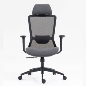 Ergonomic Swilve Mesh Office Chair Executive chair with Adjustable Lumbar Support and 4D Armrests (Color: Black)