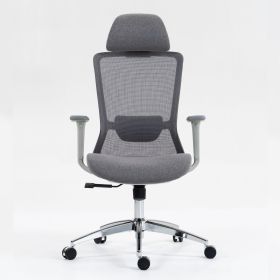 Ergonomic Swilve Mesh Office Chair Executive chair with Adjustable Lumbar Support and 4D Armrests (Color: Grey)